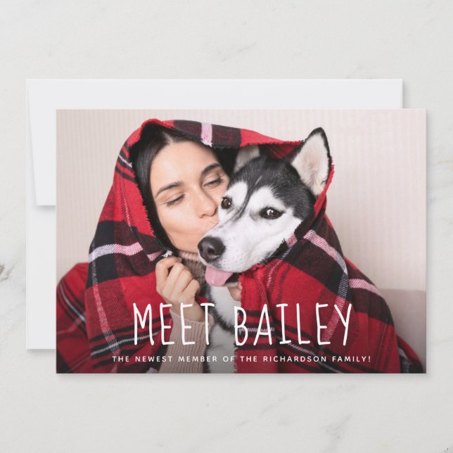 Nosso anúncio simples novo da foto do cão de (Frente)