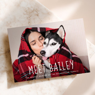 Nosso anúncio simples novo da foto do cão de