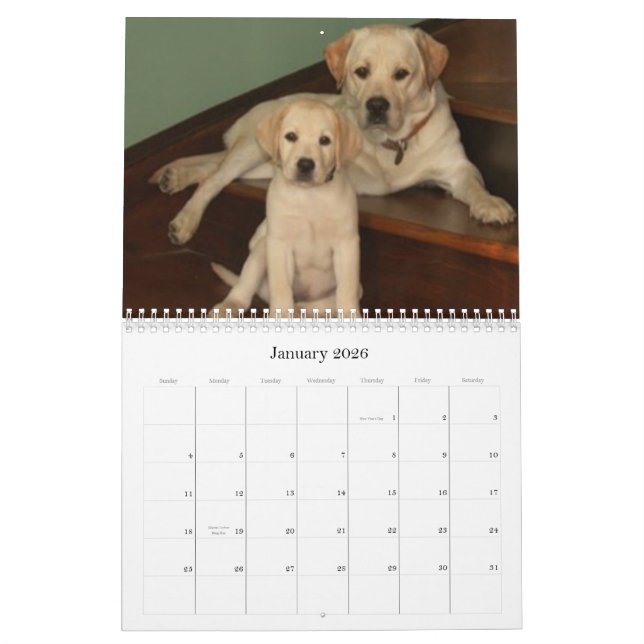 Nosso calendário dos melhores amigos 2009 (Jan 2026)