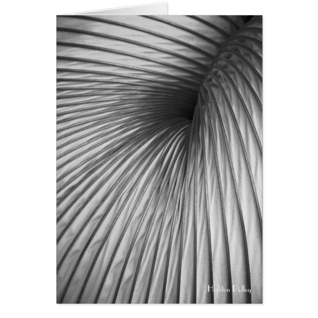 Nota / cartão do vazio de Extração de Abstração (Frente)