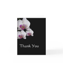 Nota de agradecimento de Orquídeas Rosas