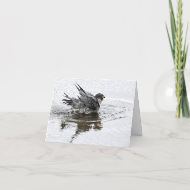 Nota de Beleza Banheira ou Cartões Saudáveis (Frente)