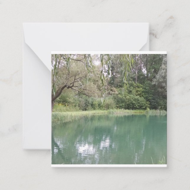 Notas Cartão de Cena de Queda Vermont (Frente)