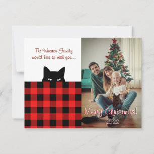Notas Cartão de Natal de Xadrez de Buffalo de Gato Sneak