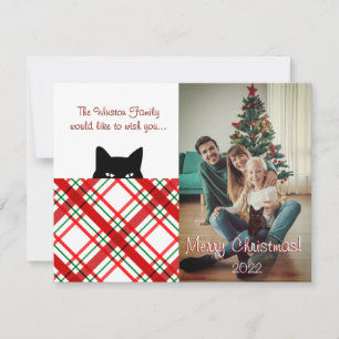 Notas Cartão de Natal Xadrez Madras Gato Furtivo