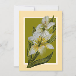 Notas Cartão de Oferta de Massa de Repouso Eterno