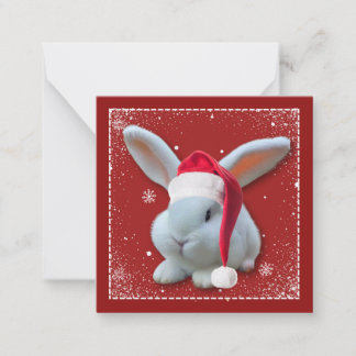 Notas Cartão de Saudações de Bunny Season para Papais no