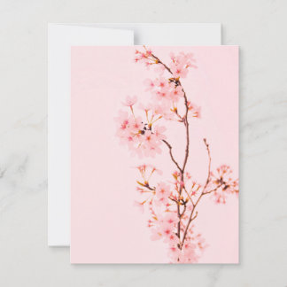 Notas Cartão Plano de Flor de Mármore Rosa