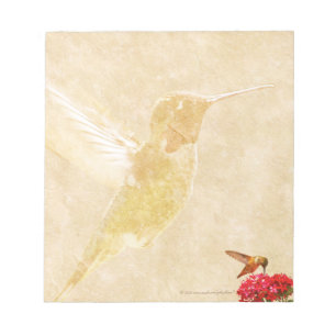Notas Colibri - bloco de notas/almofada de memorando