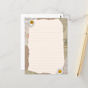 Notas da Linhagem do Livro Branco da Pintura Casta