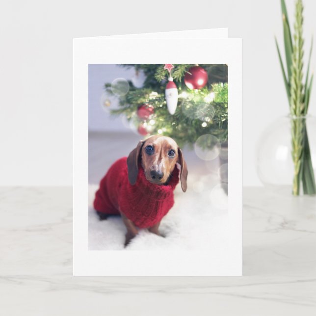 Notas Dachshund com cartão de Natal de Árvore (Frente)