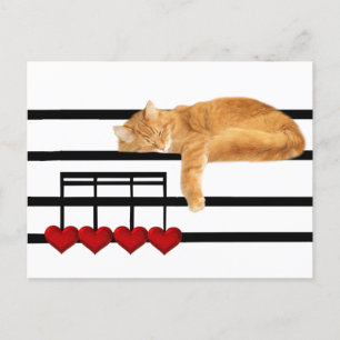Notas de amor do gato