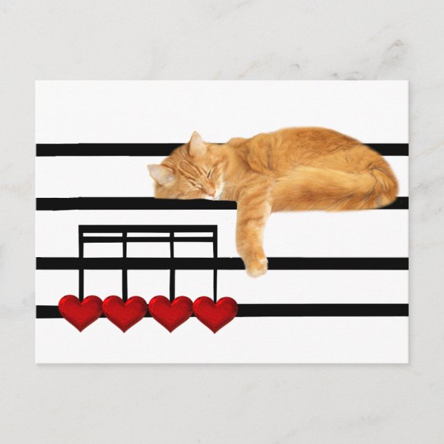 Notas de amor do gato (Frente)