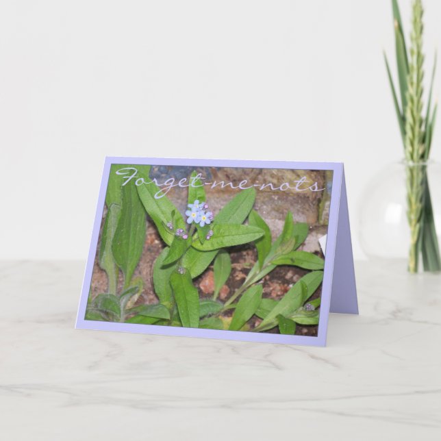 NOTAS DE ESQUECIMENTO (Frente)