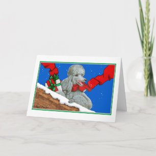 Notas de Natal ou Cartões de natal do Silver Pood