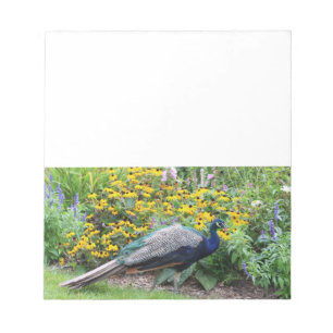 Notas Jardim de Verão com bloco de anotações Peacock