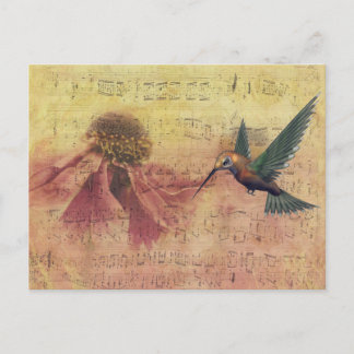 Notas Musicais da Vintage Flor e do Hummingbird