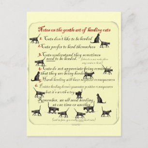 Notas na arte delicada de reunir gatos