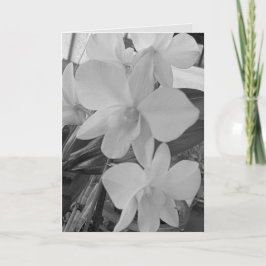 Notas Orquídeas em tons de cinza em um Cartão de condolê