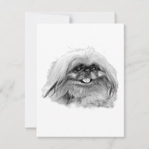 Notas Papelaria Pekingesa - Cartão de vazio "JenaSota"
