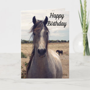 Notas Star The Arab Pony, Cartão de Aniversário