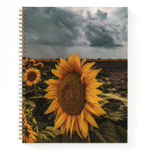 Notebook 8,5x11