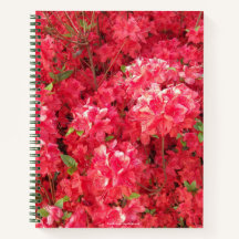 Notebook Azalea Vermelho