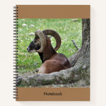 Notebook Bighorn Ram