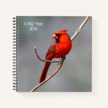Notebook Cardeal Espiral de Aves do Grande Ano
