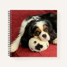 Notebook Cavalier King Charles Spaniel Small