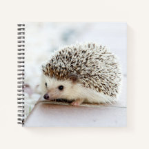 Notebook de bebê bonito