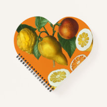 NOTEBOOK DE FRUTA CITRUS