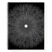 Notebook espiral