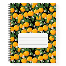Notebook espiral
