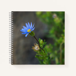 Notebook espiral com flor azul