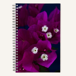 Notebook Espiral com Foto Flor Magenta