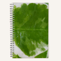 Notebook espiral de 5,5" x 8,5" para ideias e nota