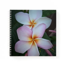 Notebook espiral de Plumeria Rosa
