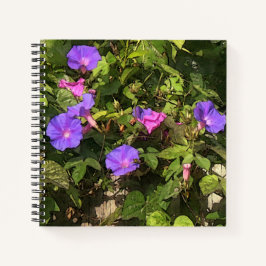 Notebook espiral Glórias de Manhã de Aquarela Desi