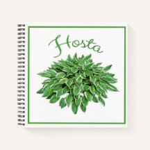Notebook Hosta Design Square Spiral