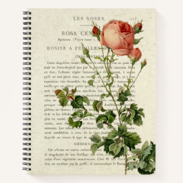 Notebook Rosa Centifolia - Presente Floral Elegant