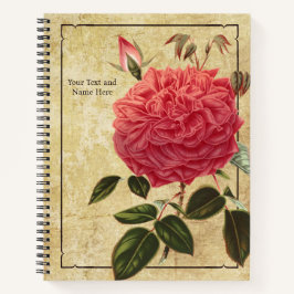 Notebook rosa Souvenir de la Malmaison