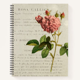 Notebook Royal Botanicals: Rosa Gallica Regalis