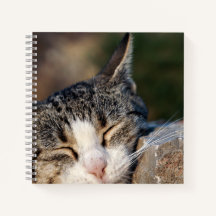 Notebook Spiral De Gato Sonolento