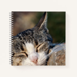 Notebook Spiral De Gato Sonolento