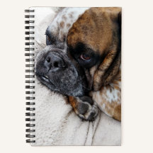 Notebook Triste Vitoriano Bulldog Foto 8x5