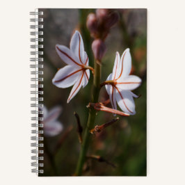 Notebook Twin Flower