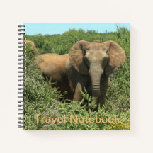 Notebook Viagem de elefante africano