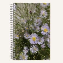 Notebook Violet Asters