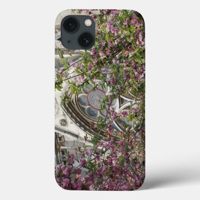 Notre Dame primavera (Verso)